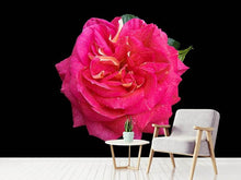 Load image into Gallery viewer, Photo Wallpaper Rose in red XXL
