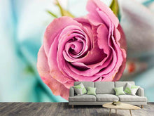 Load image into Gallery viewer, Photo Wallpaper Roseblossom in pink
