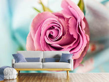 Load image into Gallery viewer, Photo Wallpaper Roseblossom in pink
