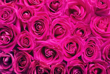 Load image into Gallery viewer, Photo Wallpaper Rose petals in pink
