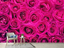 Load image into Gallery viewer, Photo Wallpaper Rose petals in pink
