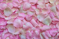 Photo Wallpaper Rose petals in pink 2