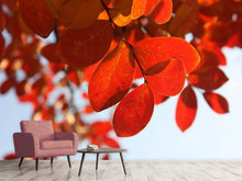 Load image into Gallery viewer, Photo Wallpaper Red leaves XL
