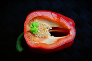 Photo Wallpaper Red pepper