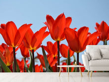 Load image into Gallery viewer, Photo Wallpaper Red tulips XL
