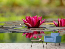 Load image into Gallery viewer, Photo Wallpaper Red water lily duo
