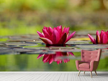 Load image into Gallery viewer, Photo Wallpaper Red water lily duo
