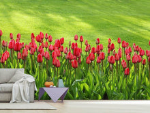 Load image into Gallery viewer, Photo Wallpaper Red tulip field in the sunlight
