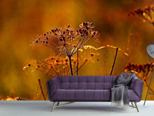 Load image into Gallery viewer, Photo Wallpaper seeds
