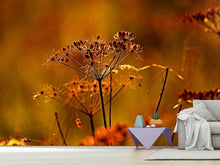 Load image into Gallery viewer, Photo Wallpaper seeds
