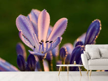 Load image into Gallery viewer, Photo Wallpaper Ornamental lilies with morning dew
