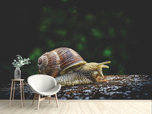 Load image into Gallery viewer, Photo Wallpaper Snail XXL

