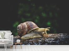 Load image into Gallery viewer, Photo Wallpaper Snail XXL
