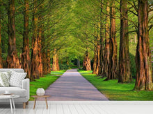 Load image into Gallery viewer, Photo Wallpaper Beautiful avenue in nature
