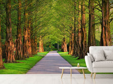 Load image into Gallery viewer, Photo Wallpaper Beautiful avenue in nature
