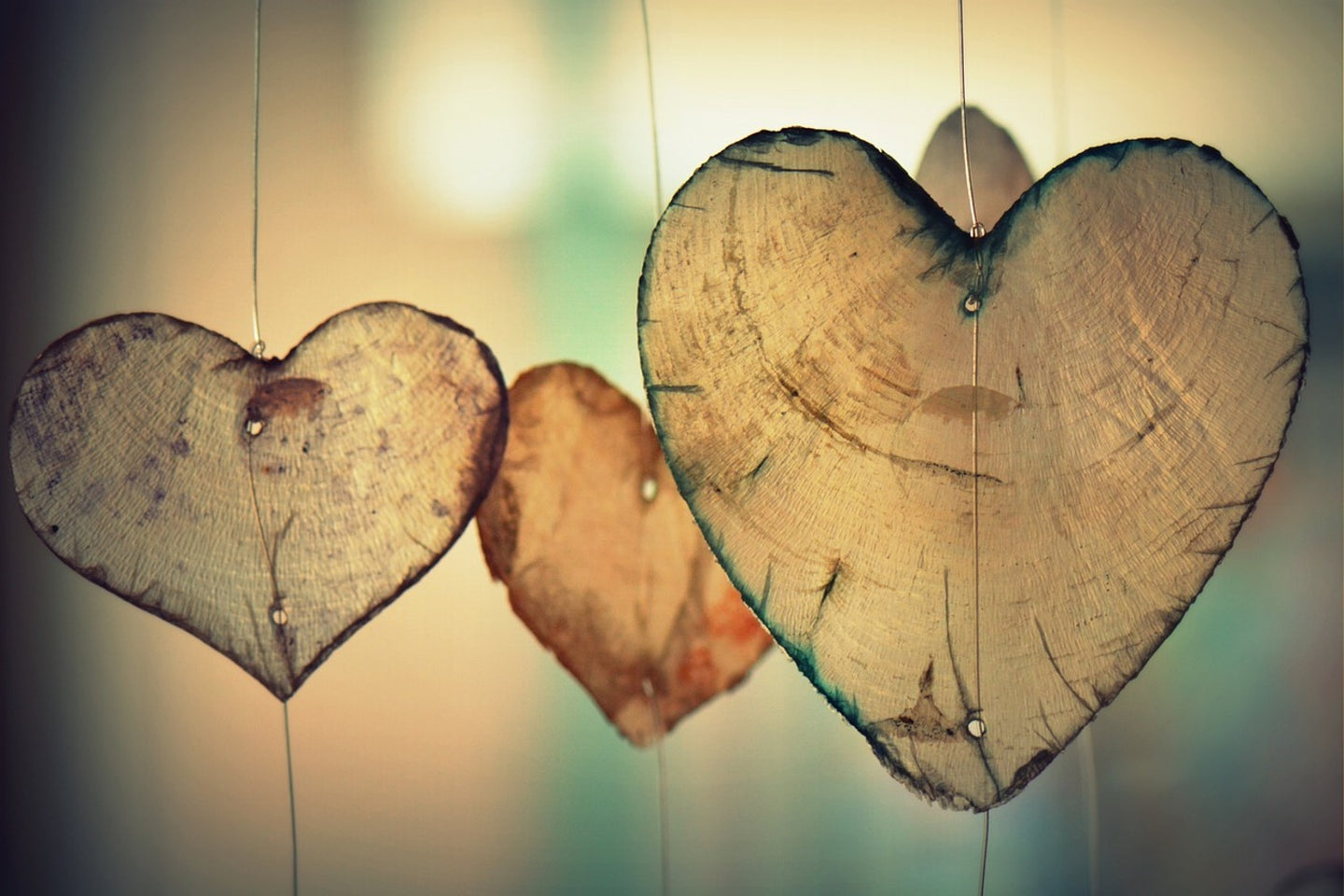 Photo Wallpaper Beautiful hearts