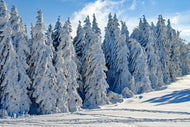 Photo Wallpaper Beautiful winter landscape