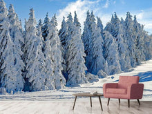 Load image into Gallery viewer, Photo Wallpaper Beautiful winter landscape
