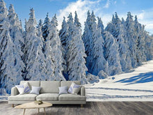 Load image into Gallery viewer, Photo Wallpaper Beautiful winter landscape
