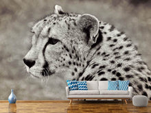 Load image into Gallery viewer, Photo Wallpaper Beautiful cheetah
