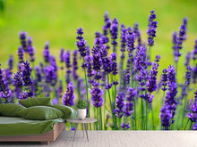 Load image into Gallery viewer, Photo Wallpaper Beautiful lavender
