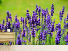 Load image into Gallery viewer, Photo Wallpaper Beautiful lavender
