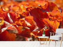 Load image into Gallery viewer, Photo Wallpaper Nice autumn leaves
