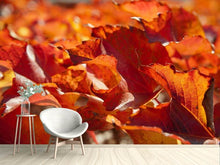 Load image into Gallery viewer, Photo Wallpaper Nice autumn leaves
