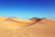 Photo Wallpaper Beauty desert