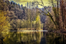Load image into Gallery viewer, Photo Wallpaper Lake in the forest
