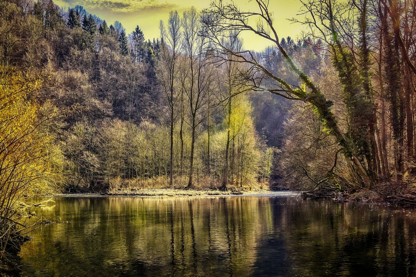 Photo Wallpaper Lake in the forest