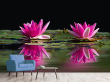Load image into Gallery viewer, Photo Wallpaper Water Lilies Duo in pink
