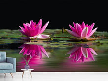 Load image into Gallery viewer, Photo Wallpaper Water Lilies Duo in pink

