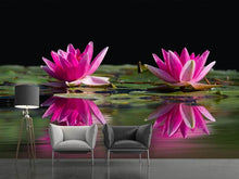 Load image into Gallery viewer, Photo Wallpaper Water Lilies Duo in pink
