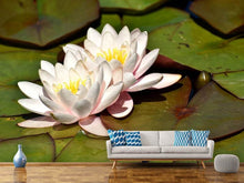 Load image into Gallery viewer, Photo Wallpaper Water lily duo in white
