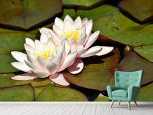 Load image into Gallery viewer, Photo Wallpaper Water lily duo in white
