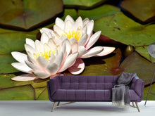 Load image into Gallery viewer, Photo Wallpaper Water lily duo in white

