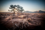 Photo Wallpaper Longing Africa