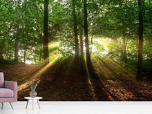 Load image into Gallery viewer, Photo Wallpaper Sun in the forest
