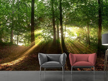 Load image into Gallery viewer, Photo Wallpaper Sun in the forest
