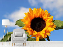 Load image into Gallery viewer, Photo Wallpaper Sunflower in bloom
