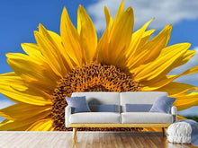 Load image into Gallery viewer, Photo Wallpaper Sunflower in XXL
