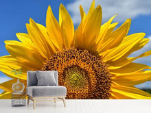 Load image into Gallery viewer, Photo Wallpaper Sunflower in XXL

