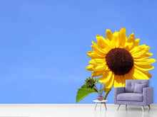Load image into Gallery viewer, Photo Wallpaper Sunflower with blue sky
