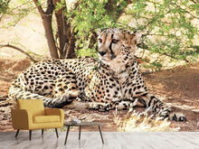Load image into Gallery viewer, Photo Wallpaper Sun cheetah
