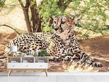 Load image into Gallery viewer, Photo Wallpaper Sun cheetah

