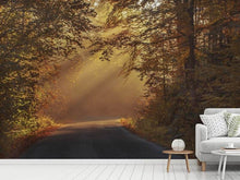Load image into Gallery viewer, Photo Wallpaper Sunbeams in the forest
