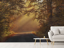 Load image into Gallery viewer, Photo Wallpaper Sunbeams in the forest
