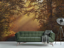 Load image into Gallery viewer, Photo Wallpaper Sunbeams in the forest
