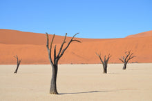 Load image into Gallery viewer, Photo Wallpaper Sossusvlei Namibia

